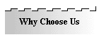 Why Choose Us