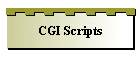 CGI Scripts