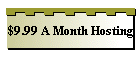 $9.99 A Month Hosting